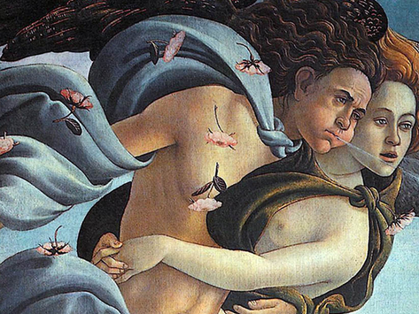 "Risorgere", di Francesco Scrima