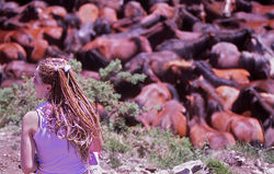 Javier Vazquez Fotografo copyrigth (5)