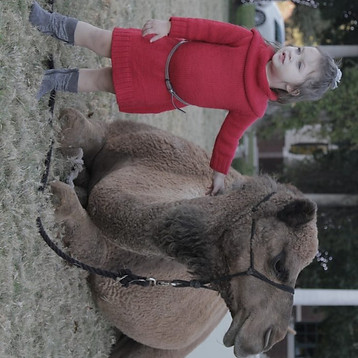 Waco Winter Wonderland, Baylor Lariat