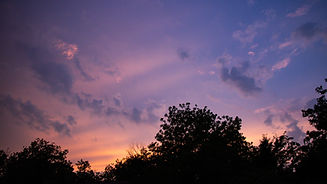 IMG_2147.jpg