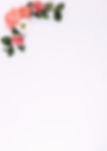 elevated-view-flowers-leaf-decorated-white-background_edited_edited.jpg