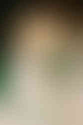 floral arrangement details