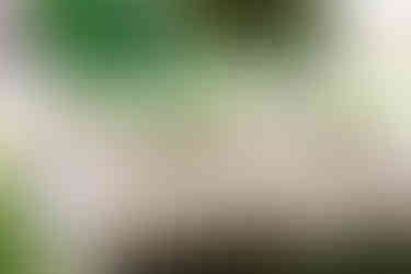 guests' table floral set up