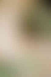 floral arrangement details