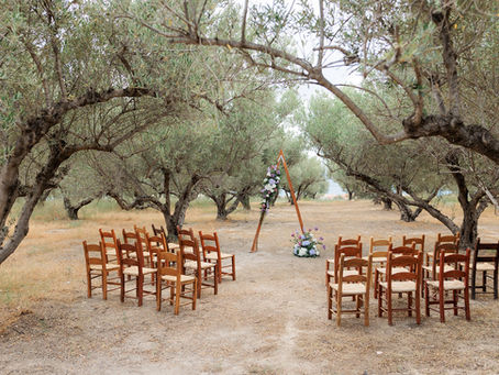 Olive Grove Wedding Ceremony set up