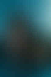 flat lay with groom shoes