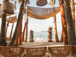 beach ceremony set up among palm trees