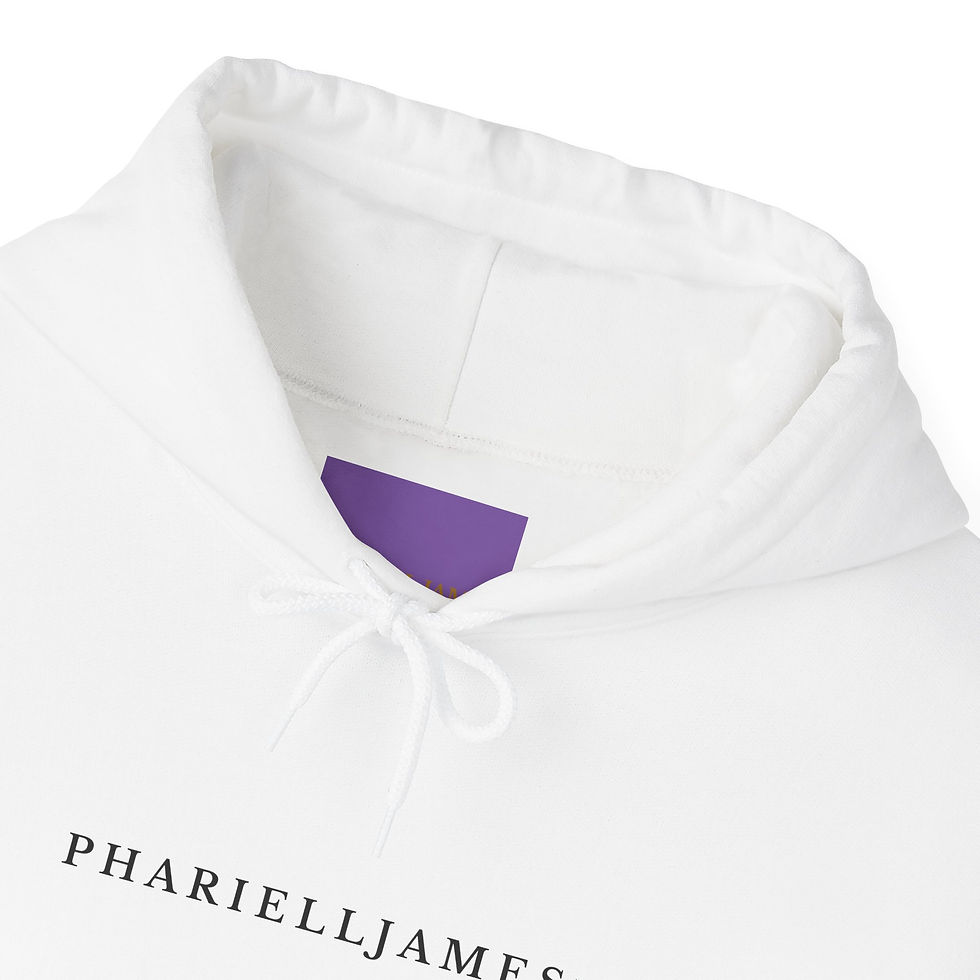 Miniature : Sweat-shirt à capuche Phariell James