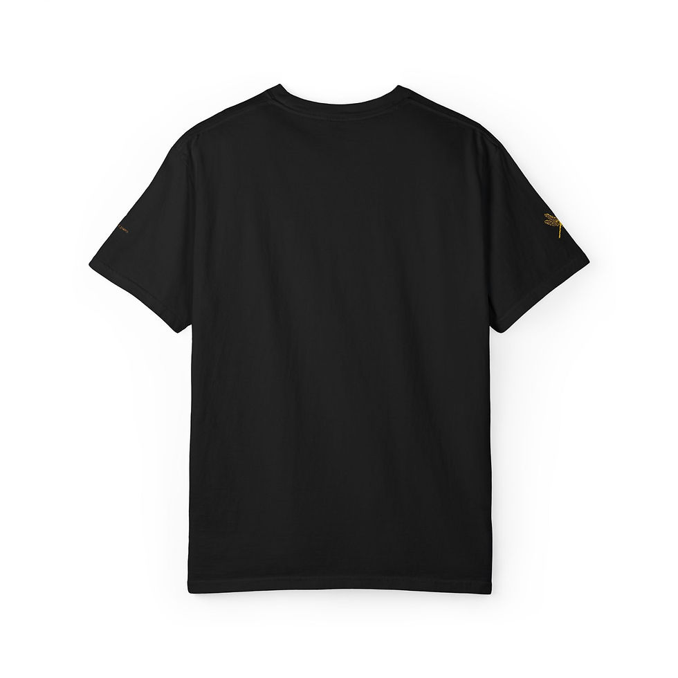 Miniature : Tee-shirts IMAGINE Phariell James