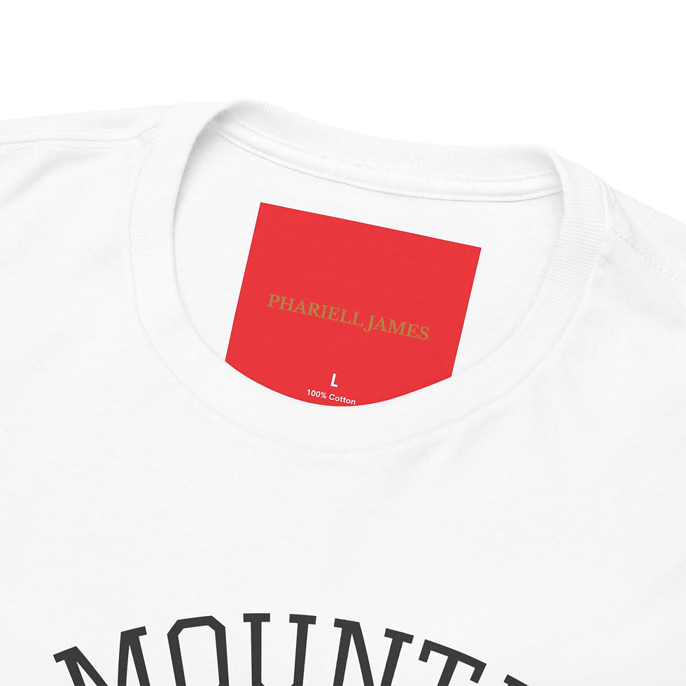 Miniature : Tee-shirts Mountain Phariell James 