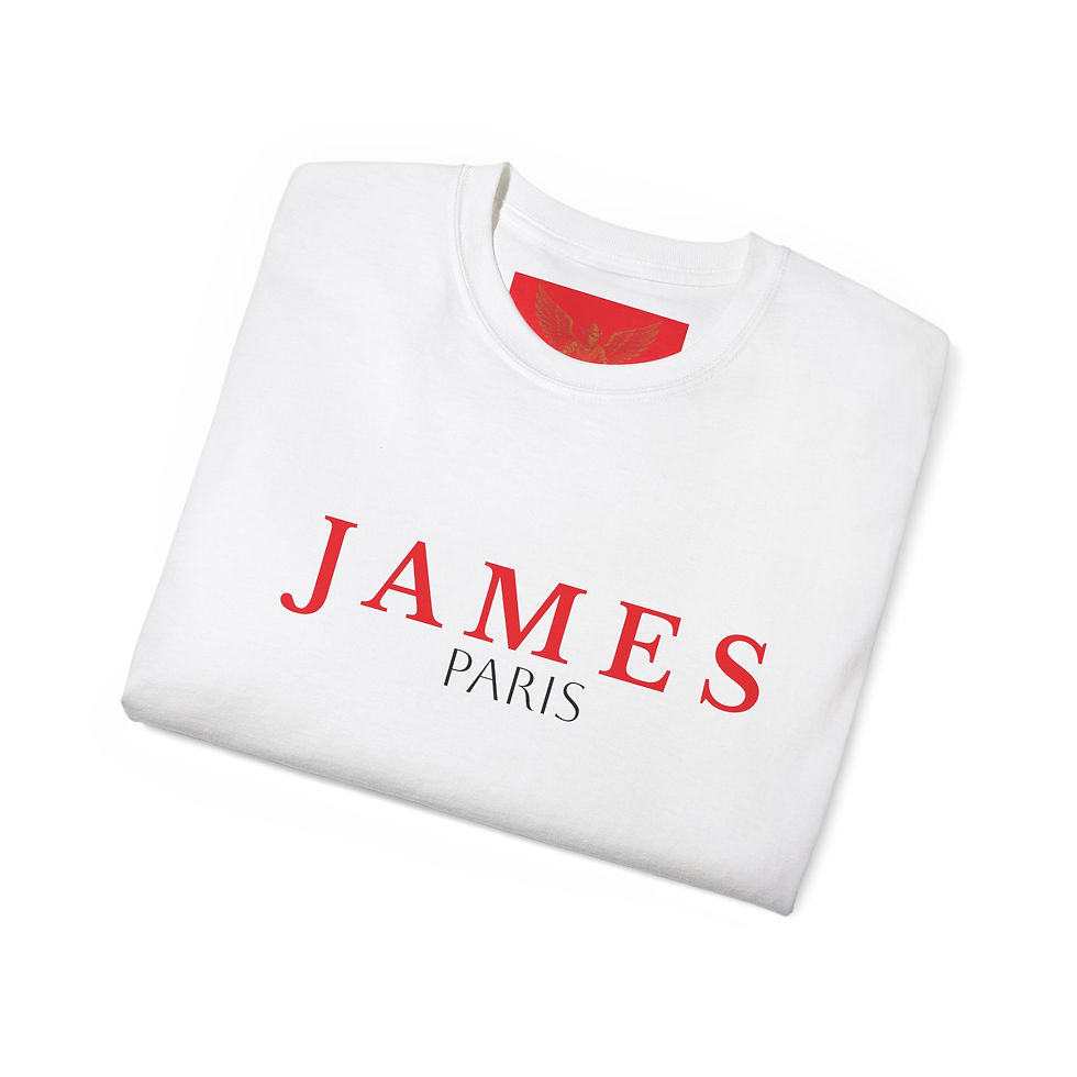Miniature : Tee-shirts JAMES 