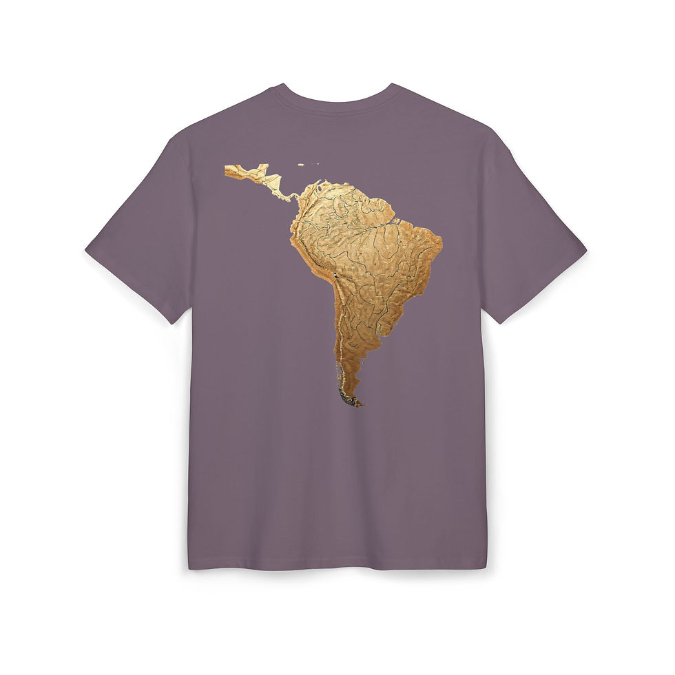 Miniature : Tee-shirts Oversize America sud PJ