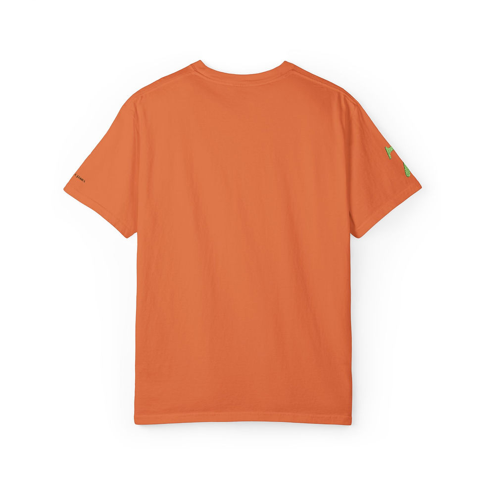 Miniature : Tee-shirts Brodé Phariell James