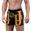Miniature : Boxer PJ