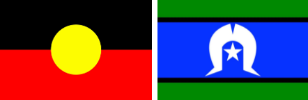 indigenous-flag-1.png
