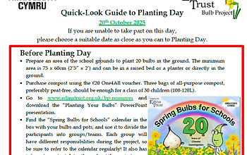 quick look guide screenshot.png