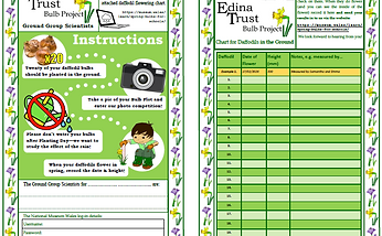 ground group screenshot.png