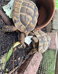 WhatsApp Image 2025-09-17 at 22.58_edite