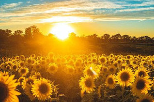 Embracing an Abundance Mindset in Major Gifts