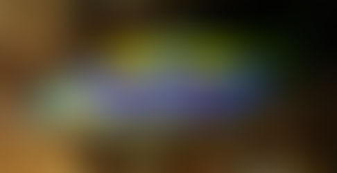 Storie di ordinaria biologia. Fiore, cuore e amore