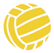 Volleyball - Jaune.png