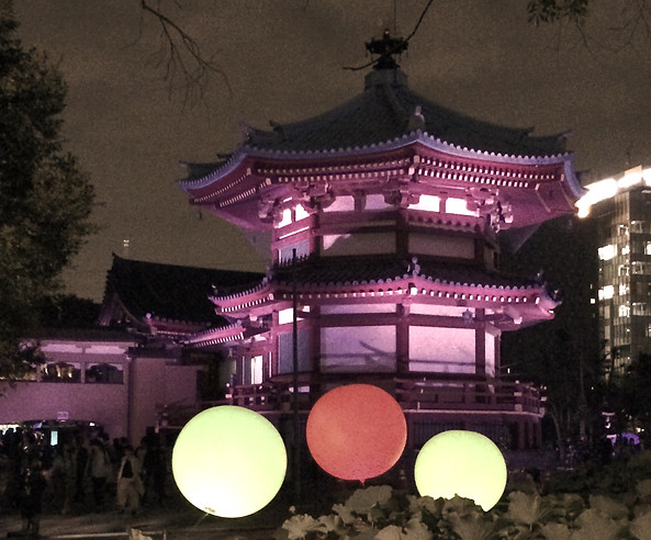 Shoyu Übersetzung