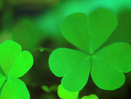 Happy Saint Patrick’s Day Everyone!