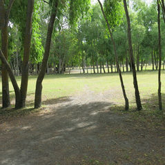 IMG_4132 (1).jpeg