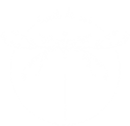 logo eveil de soi_blanc.png