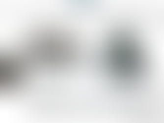 Why Challenger Kitchens Are the Ultimate Upgrade for Your Outdoor Space