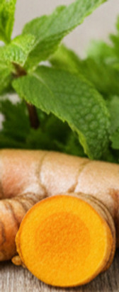 Plant-based herbs for health and wellness support