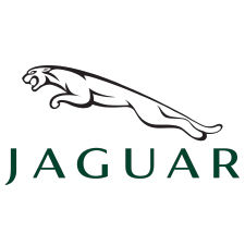 JAGUAR-100
