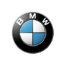 BMW-100