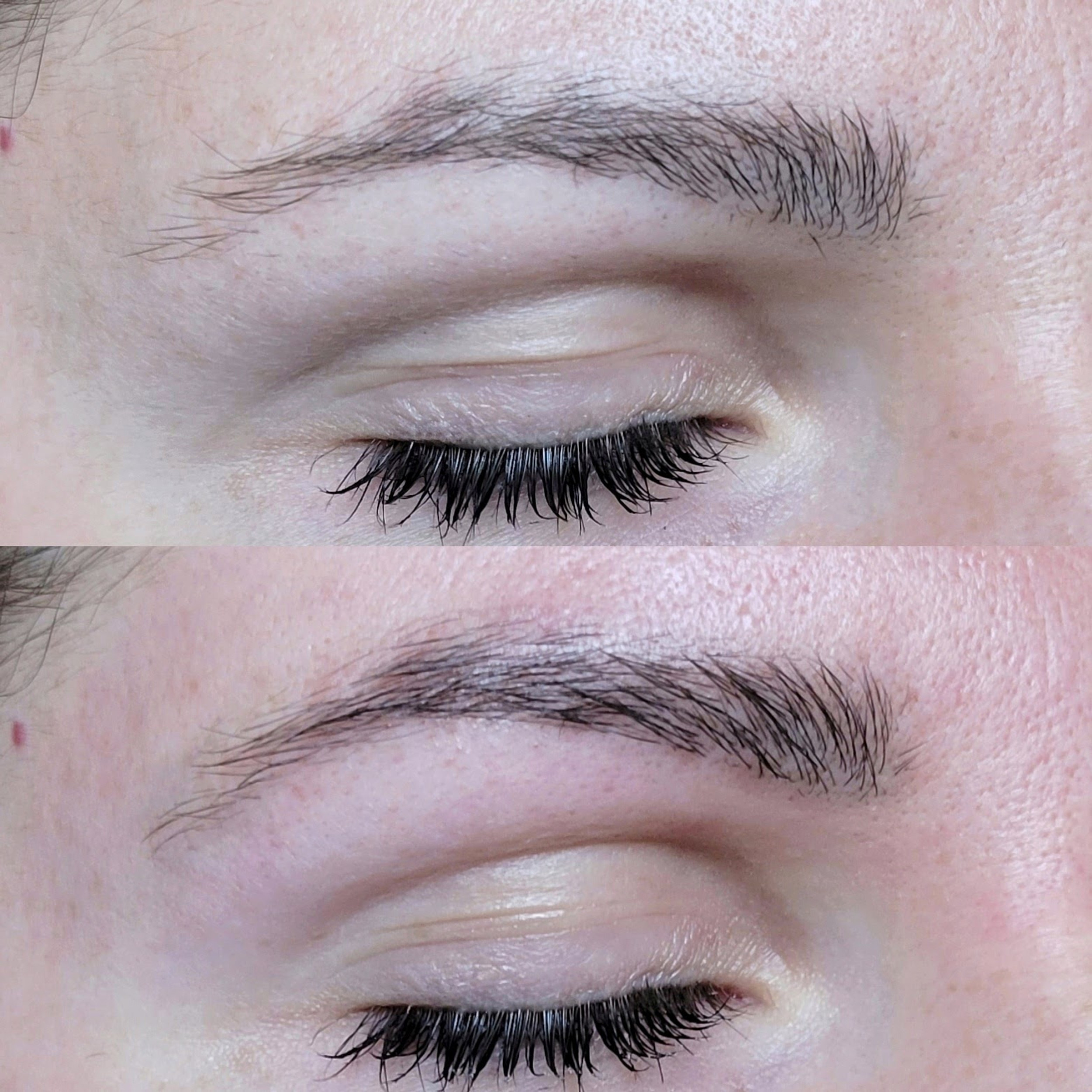 Cleveland lash and brow tinting skin care by kayla marie
