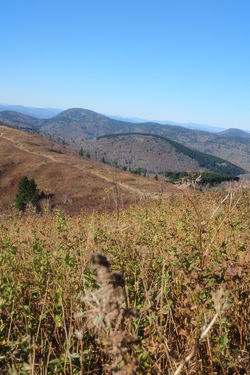 3260C199-A3AC-44D8-84D3-ED1275CBFB75-826