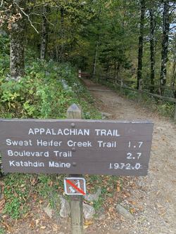 62397478274__85C97215-FF99-4282-9582-17D