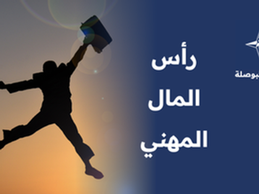 رأس المال المهني