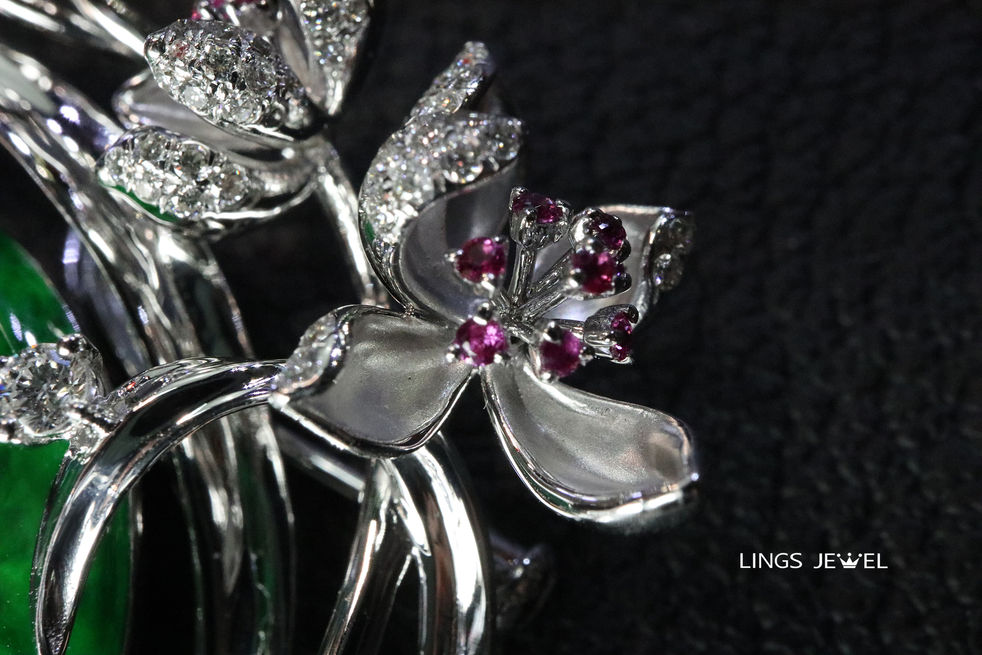 Cymbidium Bonsai Jade Peace Buckle 7.jpg