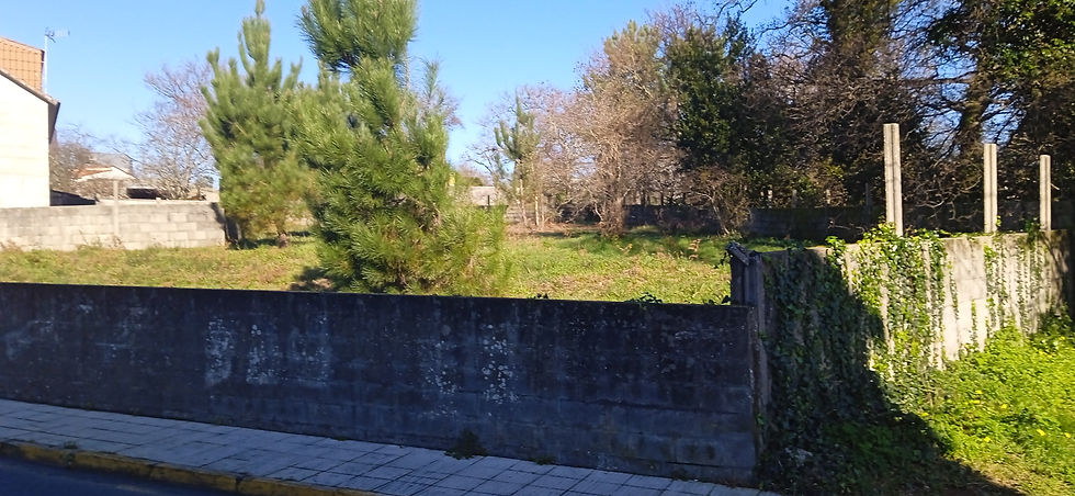 Miniatura: Finca frente al colegio en Seixo