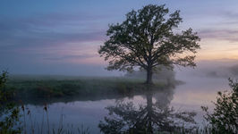 The Quiet After: Reflecting on the Real Work of Grief
