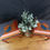 Thumbnail: Pair of Stag Minstrel Leggy Bedside Tables with Hand-Painted Geometric design
