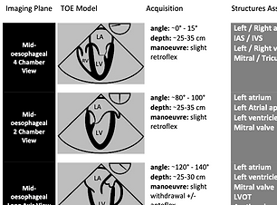 Screenshot 2024-08-05 at 14.29_edited.pn