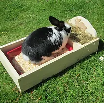 Pet Wildlife Products Kraftycreature