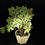 Thumbnail: Ivory colored Haeger planter