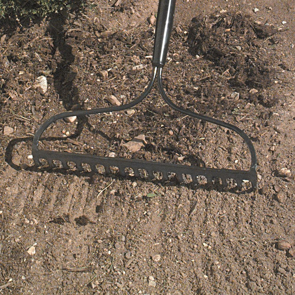 Thumbnail: Bow Rake