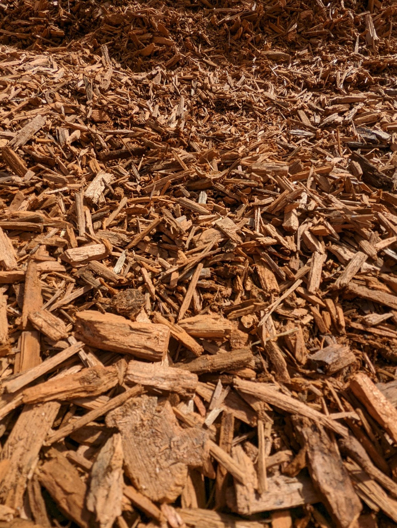 Golden Sunrise Mulch Bag