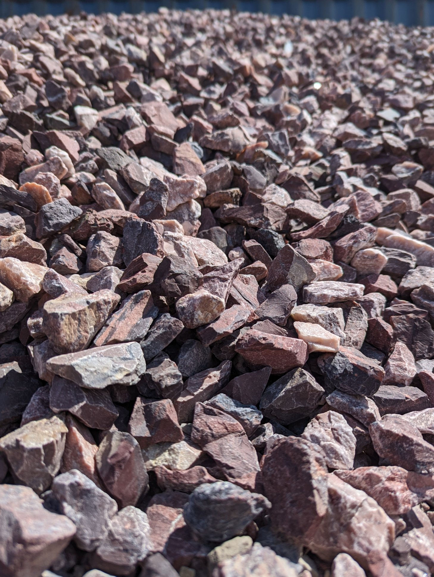 Michigan Pictured Bag