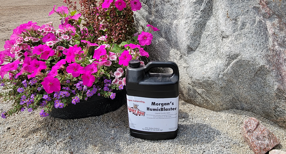 Thumbnail: HumicBlaster 1 Gal