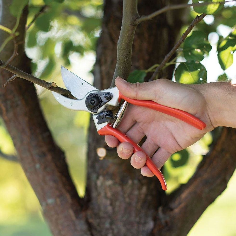 Thumbnail: Bypass Pruner