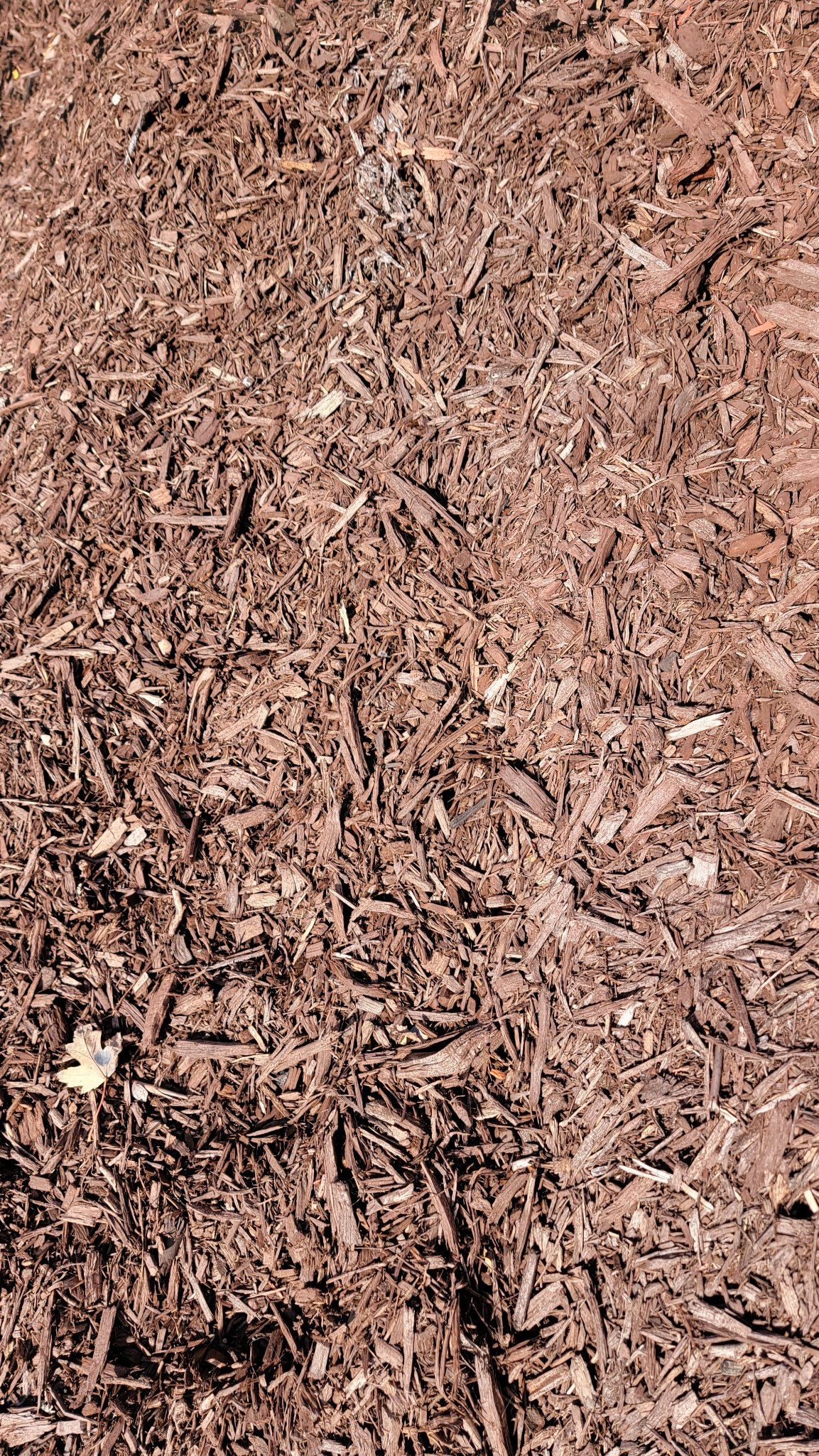 Cherry Brandy Mulch Bag (Reddish-Brown)